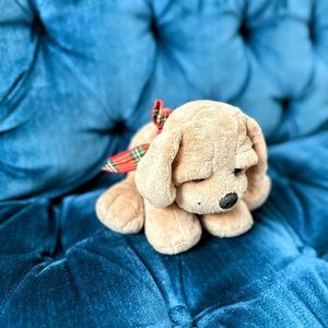 Childhood dog looking for a home!